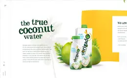 Obrigado椰子水饮料果汁网站