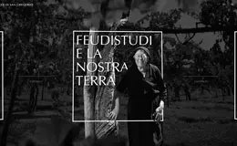 Feudi di San Gregorio葡萄酒网站