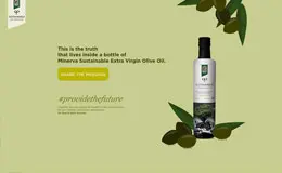 特级初榨橄榄油插画H5网站