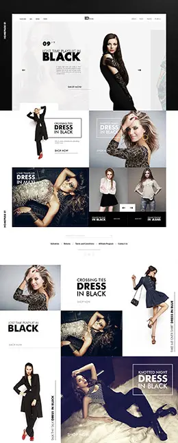 EDStore时尚服饰购物网站排版设计