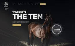 The Ten拍卖网站