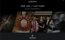 人头马高档酒水网站