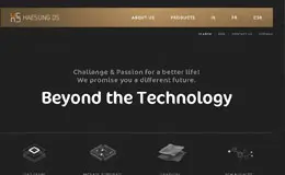 HAESUNG DS 公司企业网站