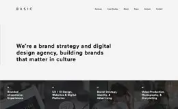 BASIC数码网页设计公司网站
