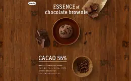 哈根达斯巧克力冰激凌专题页面设计