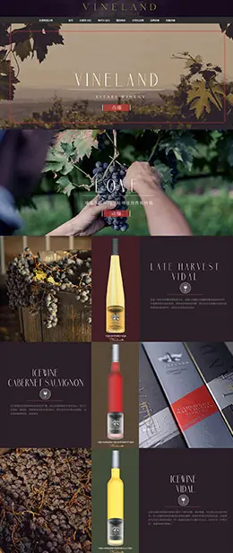 vineland葡萄酒 酒庄 天猫首页活动专题页面设计