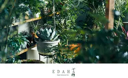 EDAHA多肉植物日本企业网站