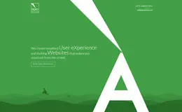 Quadnotion用户体验设计和自定义WordPress开发