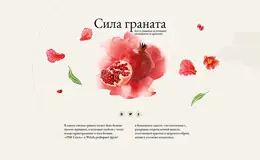 石榴 化妆品美妆手绘网站