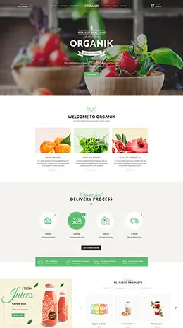 国外简约食品网页设计