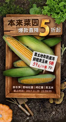 本来生活 本来菜园 手机专题页面设计