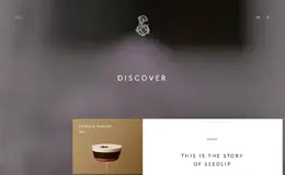 Seedlip国外高档酒水网站