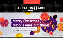 CarnationGroup