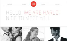 Harlo互动网站公司