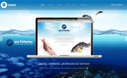 Humaan数字化设计机构