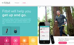 Fitbit健康AppSite