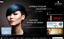 Schwarzkopf施华蔻化妆品网站