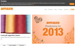 Amaze领先的数字营销机构