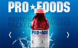 PRO食品网站