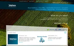 Telefonica电信公司网站