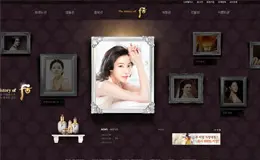 The history of 后化妆品时尚网站