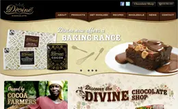 神圣的巧克力网站