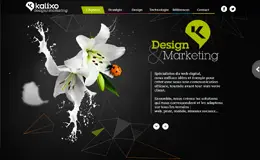 Kalixo网络营销机构