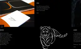 设计亮点顶级高端网站设计