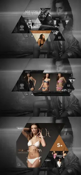 钻石时尚内衣网站设计