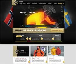 戈尔服饰品牌网站设计欣赏