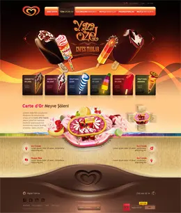 和路雪冰激凌网站设计欣赏，精致的品味。