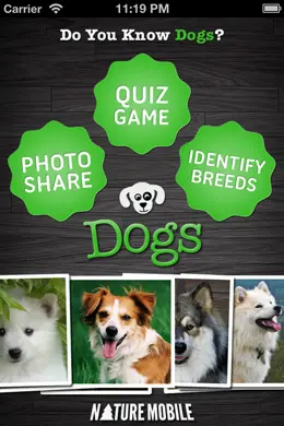 狗自然移动手机应用启动界面设计欣赏