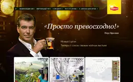 立顿茶俄罗斯网站