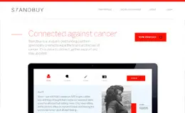 Standbuy融资平台网站