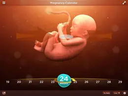 帮宝适孕婴童日历iPad应用程序界面设计