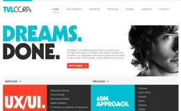 TVL互联网解决方案公司