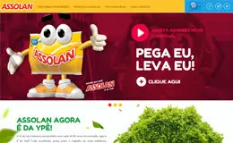 ASSOLAN巴西清洁产品网站