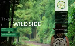 亚速尔群岛度假