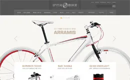 INTRBIKE自行车商城