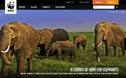 世界野生动物基金网站