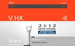 Vricks媒体营销集团