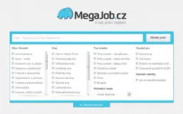 MegaJob网站搜索框界面设计