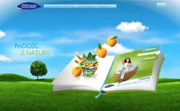 Bakoma酸奶品牌网站