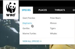 世界野生动物基金导航下拉菜单设计