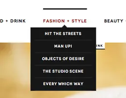 EDITER简约的导航设计