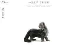 亚洲善待动物组织(PETA Asia)——“一件皮草，千针