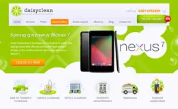 Daisyclean公司网站