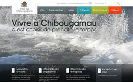 希布加莫市市政网站