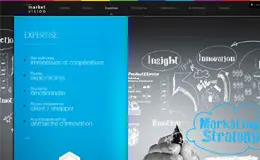 Market Vision市场研究公司及顾问营销专家