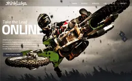 thinkLuke网站设计公司